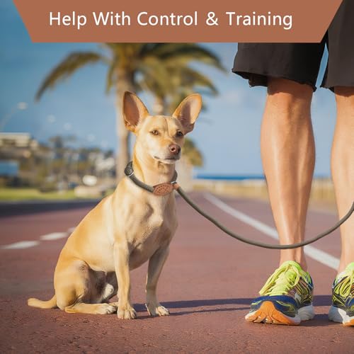 Retrieverleine mit Zugstopp & Hundebürste – 150 cm Hundeleine mit Halsband, einstellbare Anti-Würgen Trainingsleine für kleine & mittlere Hunde, 2-in-1 Leine für Spaziergänge & Pflege