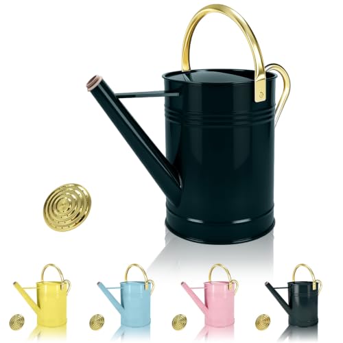 Image of LONGRUN 6.5L Galvanised Watering Can with Rose Head, Dark Green
