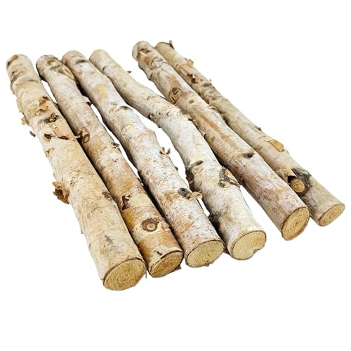 Nature Vibe 12 Inches Birch Sticks Set of 6