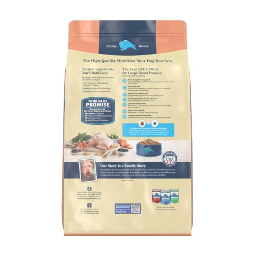 Blue Buffalo Life Protection Formula Chicken Large Puppy Dog Food, 15 lb - image 2