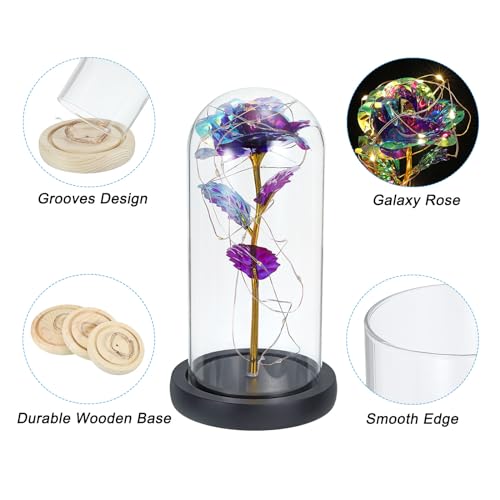 PATIKIL Roses Flower in Glass Dome - Image 3