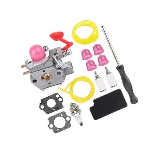 Carburateur NR-WT-875 pour souffleur de feuilles de jardin P200C - 2