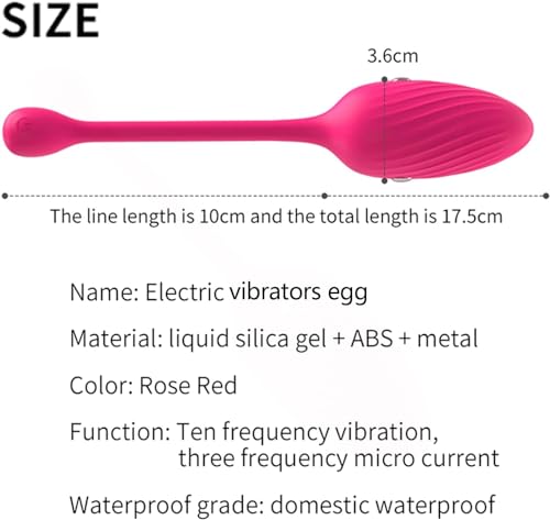 Œuf vibrant pour femme à distance avec télécommande sans fil