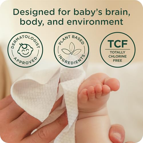 HealthyBaby Our Wet Wipes | EWG Verified Safe | 100% Water & Plant Based | Unscented & Safe for Sensitive Skin | Fragrance Free and Totally Chlorine Free (8 packs, 512 wipes)