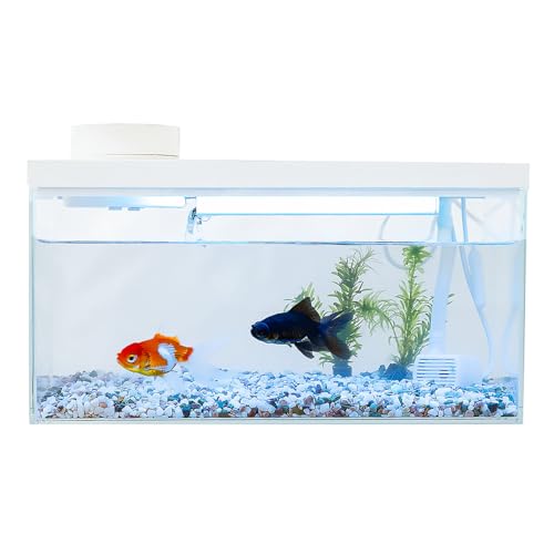 小型 オールインワン スマート水槽 多機能水槽☆FiSH-α3 IOT 5L コンパクト 20-30°C温度確認 LEDライト オートフィーダー 内蔵濾過機能 初心者 簡単 ホワイト (白) ガラス製