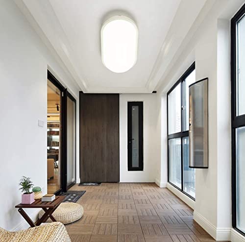 Image of Sturlite Aster LED 20W Bulkhead | Outdoor Waterproof | Wall Light for Home and Office