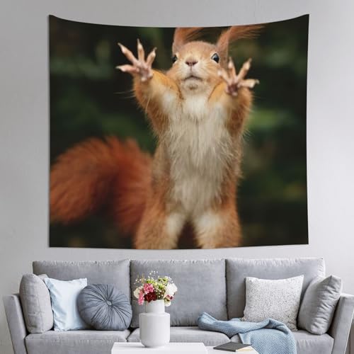 Tenture murale écureuil EdWal 152x130 cm grand drapé décoratif pour chambre