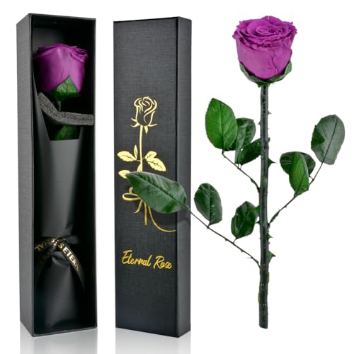 PLECUPE Rose éternelle - Véritable rose Infinity avec tige - Pour femme - Fleur préservée dans une boîte cadeau - Cadeau pour maman, petite amie, pour anniversaire, fête des mères - Violet