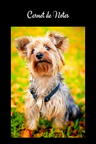  Carnet de Notes: Yorkshire. Cahier de notes chien Yorkshire Terrier. Joli cahier de 100 pages lignées numérotées avec sommaire format 6x9. Joli livret ... joli notebook A5, carnet d’écriture...