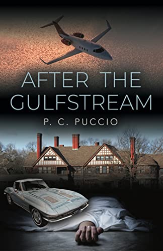 AFTER THE GULFSTREAM (English Edition)