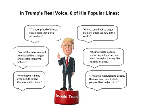 Donald Trump Bobblehead - Talking Bobble Head with Audio Lines, Iconic Phrases - President Trump Bobbleheads Figures - MAGA 2024 Hand-Painted Lifelike Figure with Base | Phrase 2