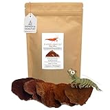 GARNELEN4YOU® Seemandelbaumblätter 20 Stück 10–15 cm – Aquarium Blätter für Garnelen, Krebse, Schnecken & Fische – Wasseraufbereitung & Langzeit-Futtermittel - nachhaltige Verpackung