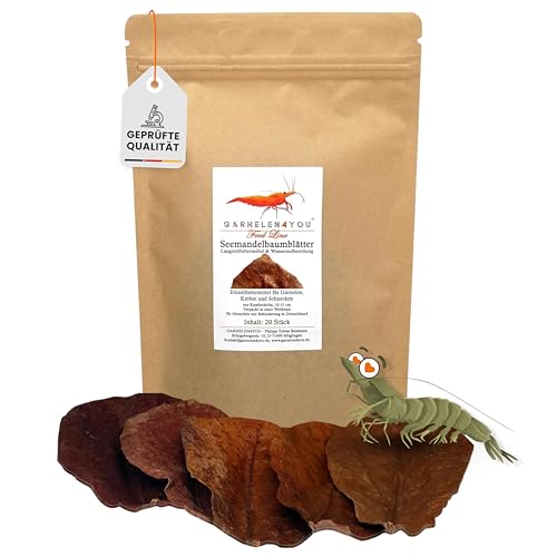 GARNELEN4YOU® Seemandelbaumblätter 20 Stück 10–15 cm – Aquarium Blätter für Garnelen, Krebse, Schnecken & Fische – Wasseraufbereitung & Langzeit-Futtermittel - nachhaltige Verpackung