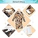 Cute Puppy Dogs Boys Swimsuit Rash Guard Toddler Kids Long Sleeve Swim Shirt and Trunks Swimwear Set 9-10Y