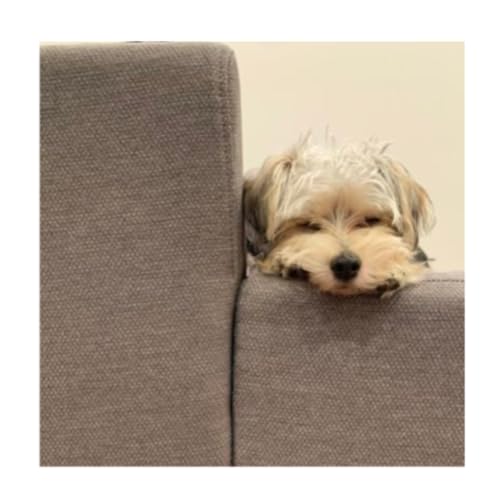 Patrick投资旅程 Titelbild