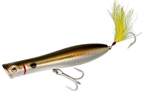 TSUNAMITalkin Pencil Popper 5" Bunker TSTP5XD-201 XD Extra Distance Lure New