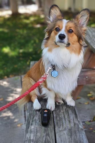 Ultrasonic Dog Bark Deterrent & Behavior Corrector - Stop Barking, Jumping, Aggression Without Yelling - Just Point & Press! Backed by Kevin Harrington from Shark Tank (Black Rechargeable) - Image 7