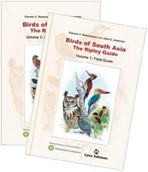 41KFa4mf1nL._AC_UF350,