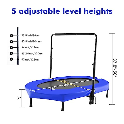 Variant 5