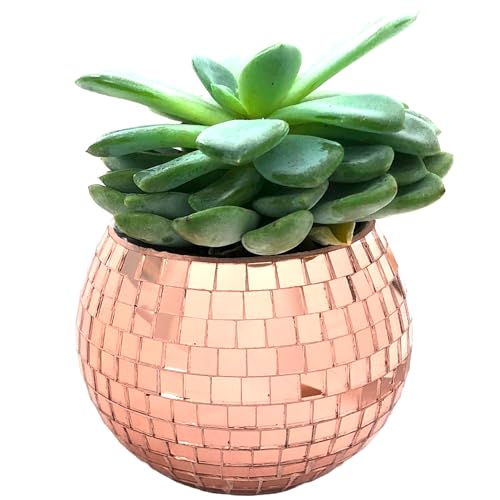 BusyPet Mini Disco Ball Planter (Rose Gold Color) Mini Vase Indoor Planter for Eucalyptus Plant for Shower Housewarming Gift Ideas Cute Desk Accessories Aesthetic Decor Rose Gold