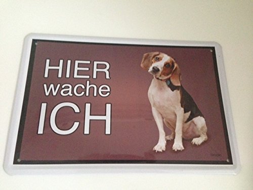 Targa in Metallo generica 20 x 30 cm con Scritta Was Man von Hunden Lernen Kann Humor Metall