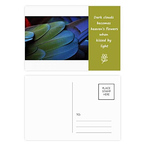 Jeu de cartes postales Plume d'oiseaux sauvages 20pcs DIYthinker pour correspondance