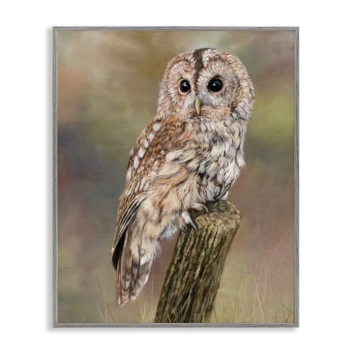'Brown Tawny Owl Perched Intricate Woodland'| Framed Giclee Art