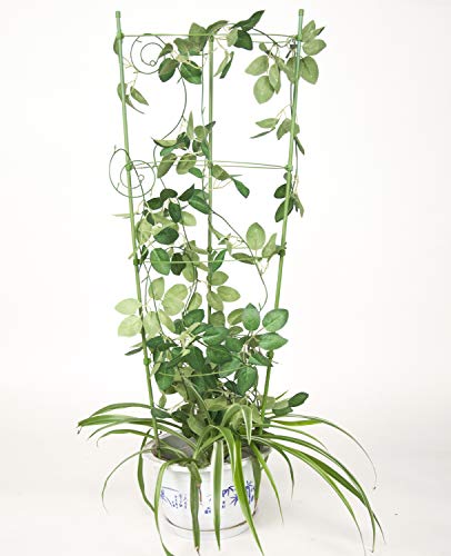 OCEANPAX 3 Pack Plant Support Cages 36 Inches Plant Cages with 4 Adjustable Rings
