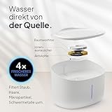 Pretty Paw Trinkbrunnen für Hunde mit 7L Wassertank - Super leiser Hunde Trinkbrunnen - BPA-freier Hundebrunnen mit Filter & LED - Leicht zu reinigender Dog Wasserspender