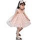 AGQT Baby Mädchen Tüll Kleid,Kleinkind Partykleid Ärmelloses Tutu Geburtstag Kleid Rosa Gänseblümchen-Spitze Blumenmädchen Kleid,Größe 18-24 Monate
