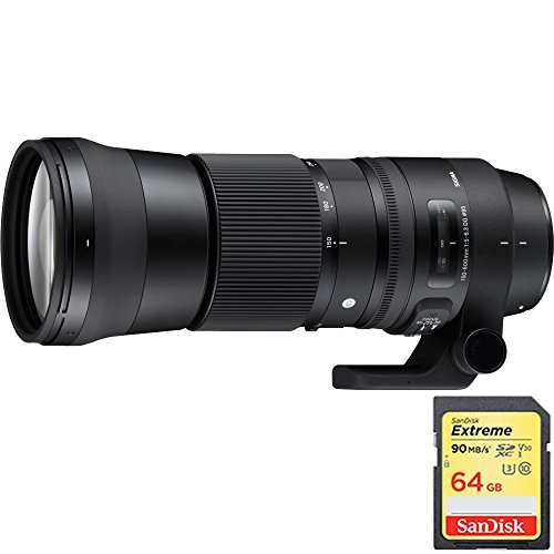 Sigma 150-600mm F5-6.3 DG OS HSM Zoom Lens for Nikon