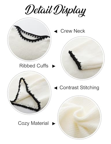 Flygo Oversized Sweaters for Women Long Sleeve Crew Neck Trendy Fall Sweaters Colorblock Chunky Knit Pullover4