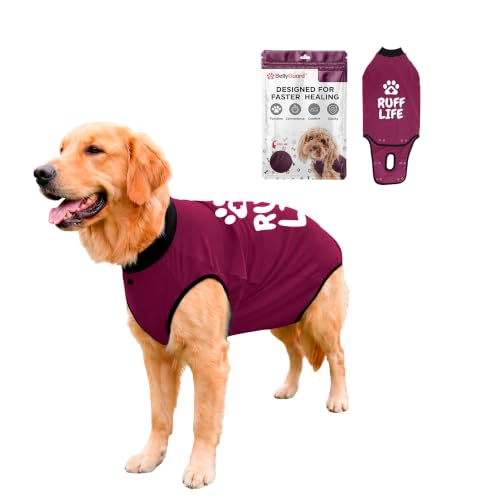 BellyGuard Dog Surgery Recovery Suit, Male Female After Spay Neuter Onesie