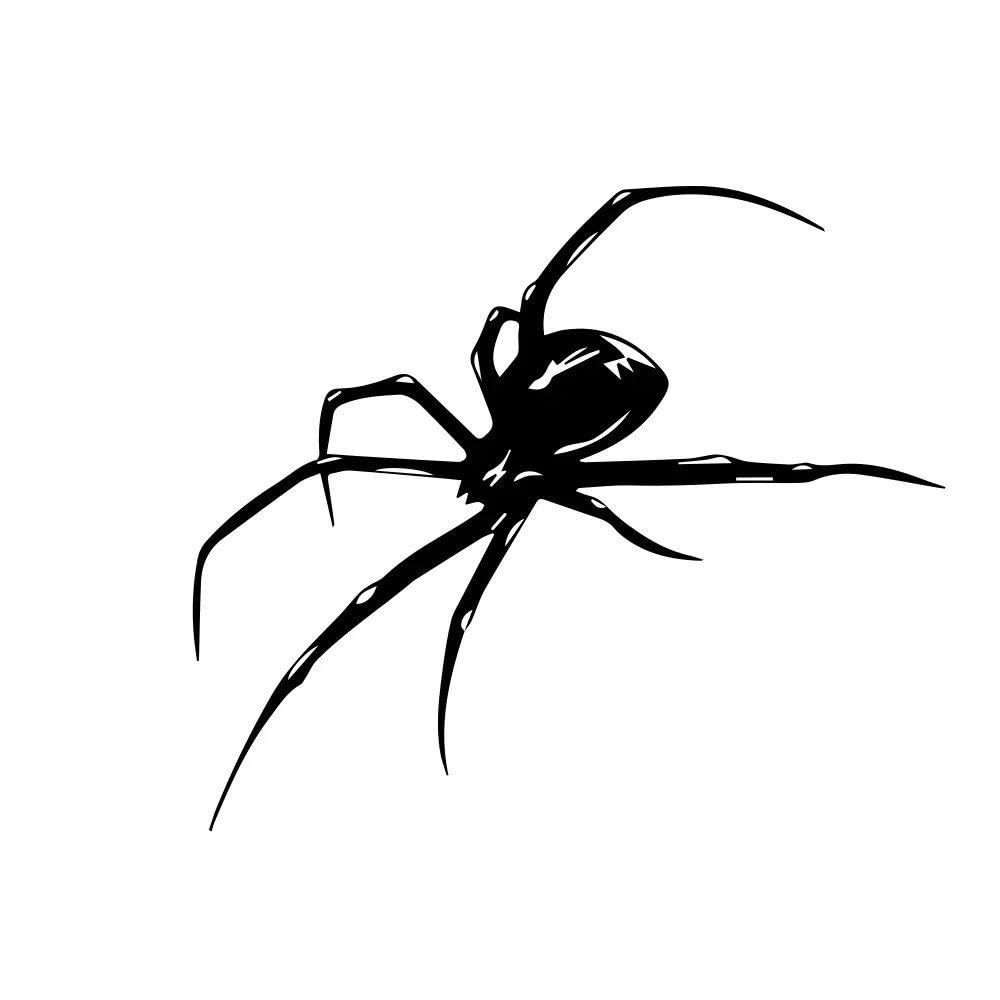 Auto Accessory Graphics Spider Sticker Car Body Side Windshield Bumper Decor Decal Vinyl Waterproof Decoration(Glossy Black,54x27cm)