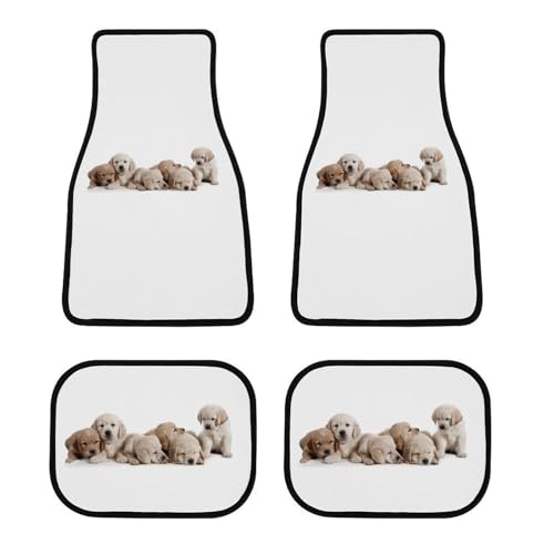 J[}bg S[fgo[ 킢   tA}bg  ԗptA}bg 4_Zbg y/ʎ O2E2 h~ ~ ېOK tȒP J[pi lGʗp