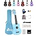 Winzz Ukulele Soprano Kit di Avvio per Principianti con Borsa, Accordatore, Corde Aggiuntive, Cinturino, Pettorale, Fret Adesivi, Carta Accordi, per Lucidare, Blu