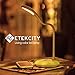 Etekcity LED Desk Lamp with USB Charging Port, Eye-caring Table Lamp with 3 Brightness Levels, Touch Control, Adjustable Gooseneck, Color Night Light for Office and Bedroom, Gift for Kids and Families