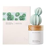 ROUND A'ROUND Cactus Room Scents 100ml / Gypsum Reed Fragrance Diffuser for Fragrant Homes, Rooms, Office, Bathroom, Living Room, Great Home Fragrance Gift (Goldenbarrel Cactus)
