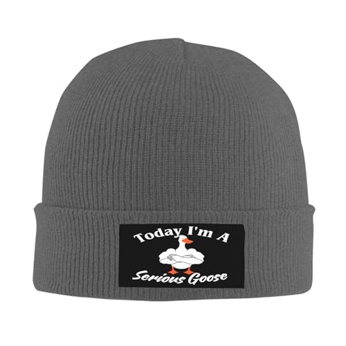 Today I'm A Serious Goose Funny Beanie Cap Knit hat Deep Grey