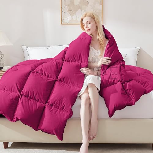 Image of PURE ECO 300 GSM Comforter for Single Size - Luxury & Soft Microfiber 300 GSM Comforter for Winter - Duvet /Blanket Single Size (60 inchX90 inch) - Hot Pink Color