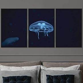 signwin 3 Piece Framed Canvas Wall Art Colorful...