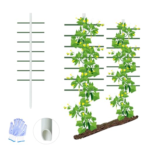 Agfabric 5ft Garden Trellis for Climbing Plants Outdoor, Round Tower Vineyard Trellis with 7 Arms(Each 1.64ft), Fiberglass Plant Support Trellis for Cucumber, Berries, (5ft*1.64ft,1pack)