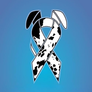 Oh What A Dream We Had