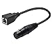 Accessonico XLR Over Cat5 1 Pair, 3 Pin to RJ45 Female Adapter Cable, DMX Network Connector Extension Ethernet for DMX-CON Controller Stage Recording Studio Adapter (1 Feet)