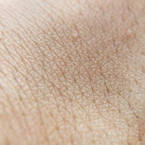 Tetrakaidecahedron Skin