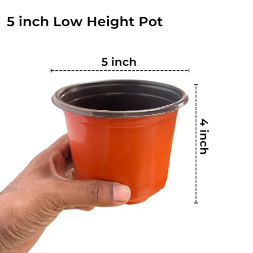 Image of Thermoformed Plastic Flower Pots, Durable, Flexible, Unbreakable, Multiple Drainage Holes, Best for Indoor Plants, Terrace Garden, Nursery (Pack of 60, 5 Inch LH)