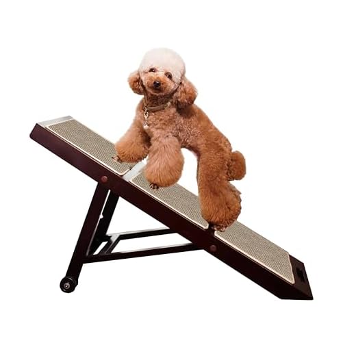 Collapsible Pet Ramp for Easy Access