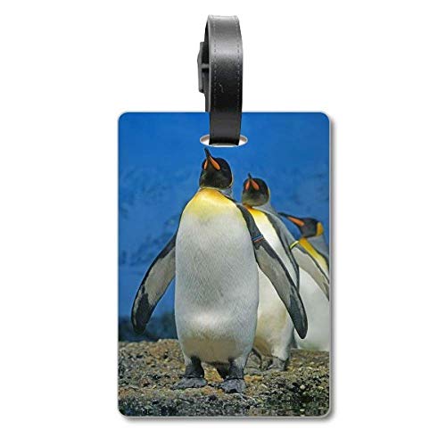 Étiquette d'identification pingouins antarctiques nature science accessoire sac à dos