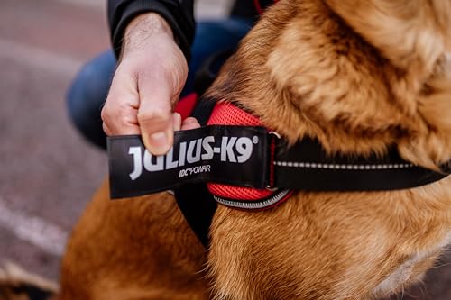 JULIUS K-9 Hundegeschirr, Neon, 2XL/3