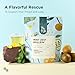 Tea Facto Goodnite* Chamomile - Mint Zest Mullein Tea Bags - 50 Pack